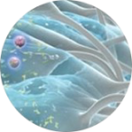 a planet with rings in it